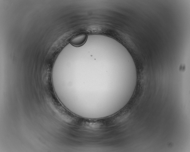 X0000112210645200908211519