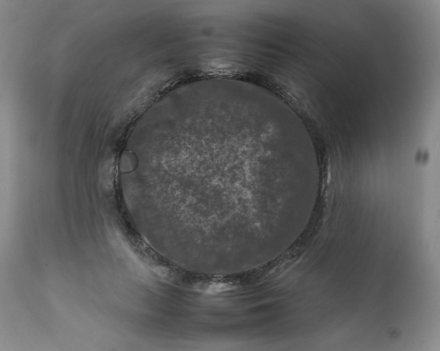 X0000112210647200908211519