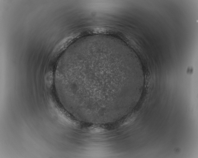 X0000112210648200908211519