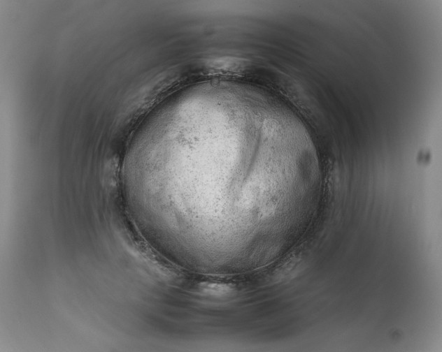 X0000112210649200908211519