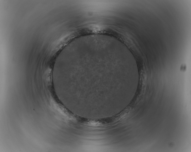 X0000112210650200908211519