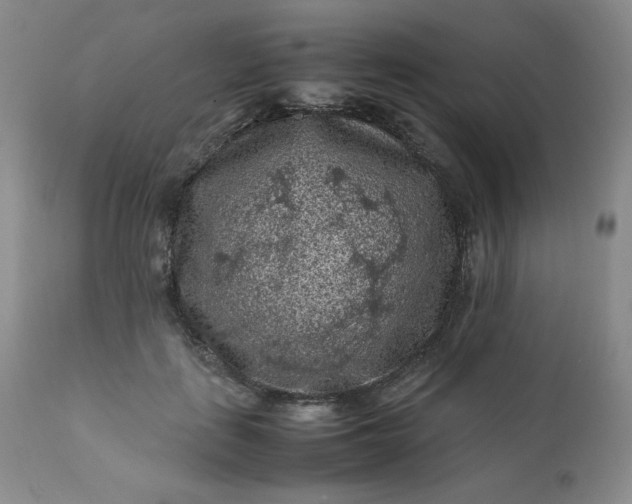 X0000112210651200908211519