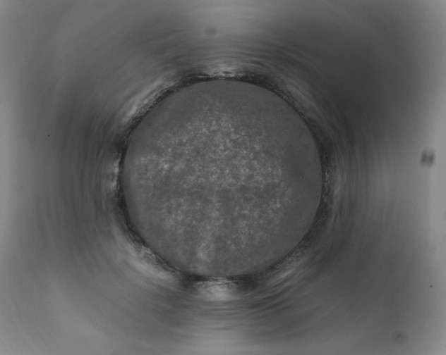 X0000112210652200908211519