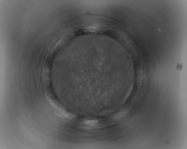 X0000112210653200908211519