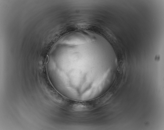 X0000112210655200908211519