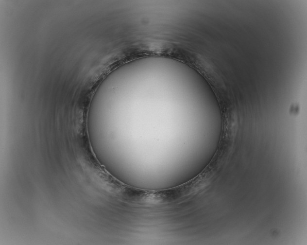 X0000112210656200908211519