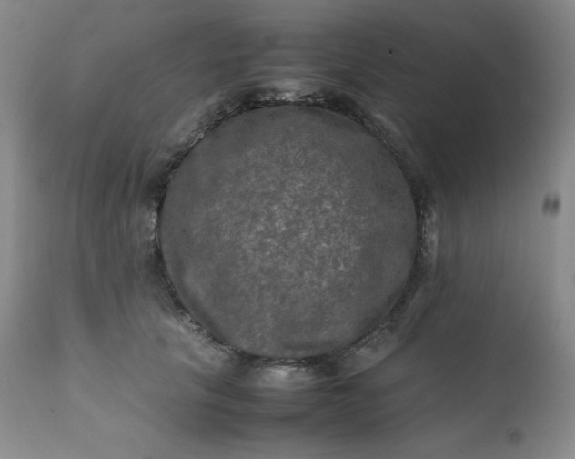 X0000112210657200908211519