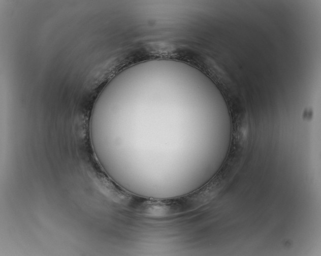 X0000112210658200908211519