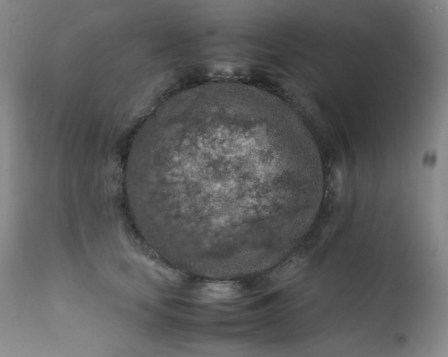 X0000112210659200908211519