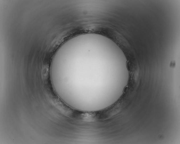 X0000112210660200908211519