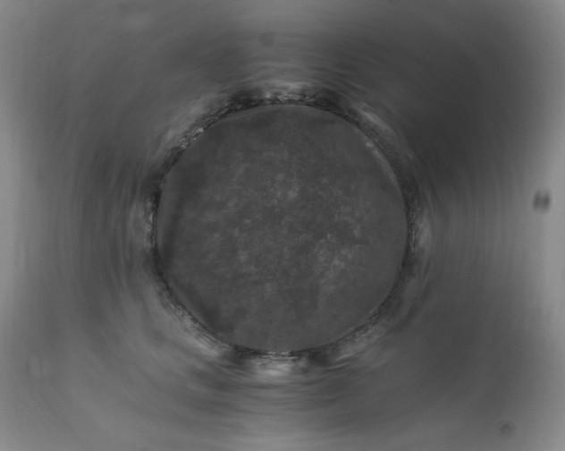 X0000112210661200908211519