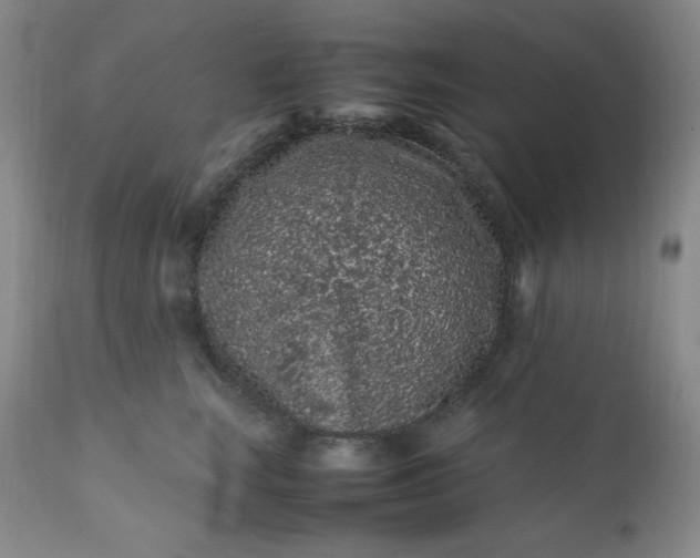 X0000112210663200908211519