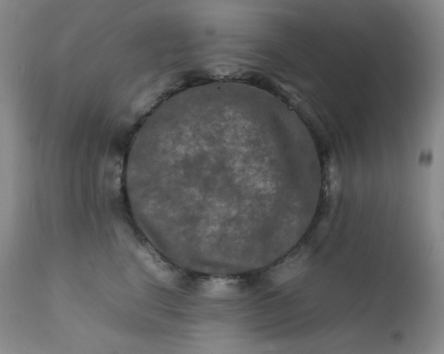 X0000112210664200908211519