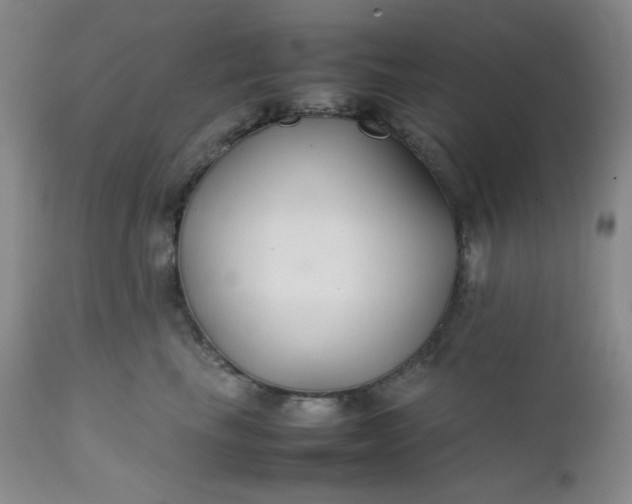 X0000112210665200908211519