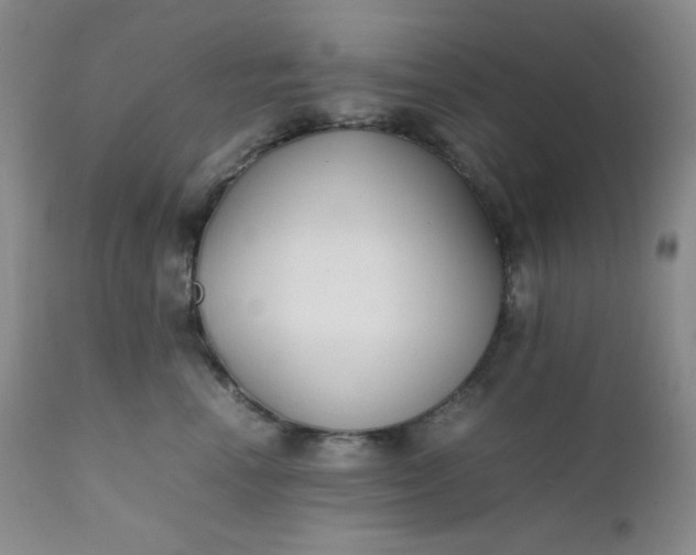 X0000112210666200908211519