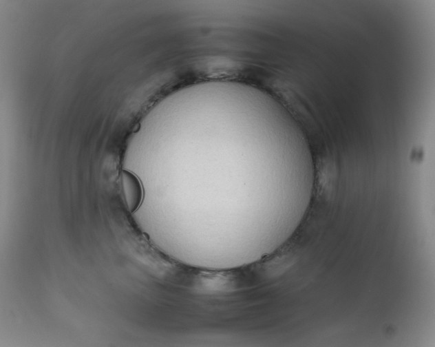 X0000112210667200908211519