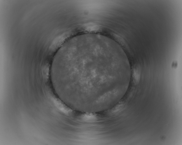 X0000112210668200908211519