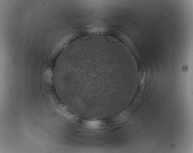 X0000112210669200908211519