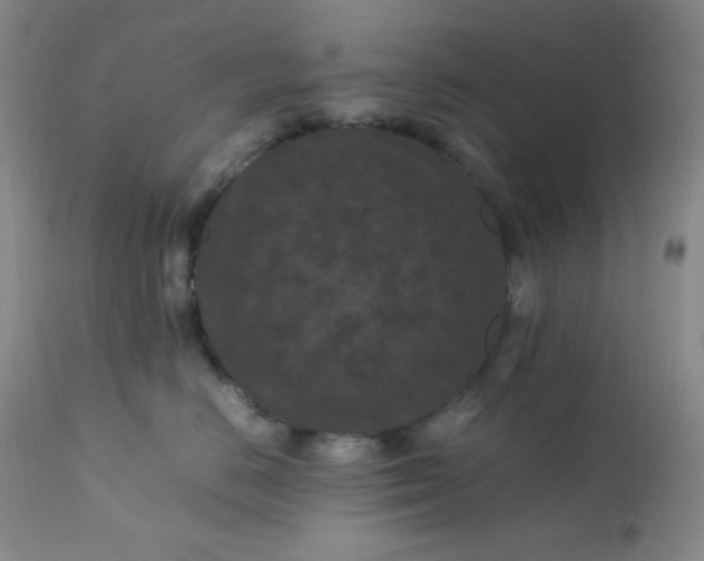 X0000112210670200908211519