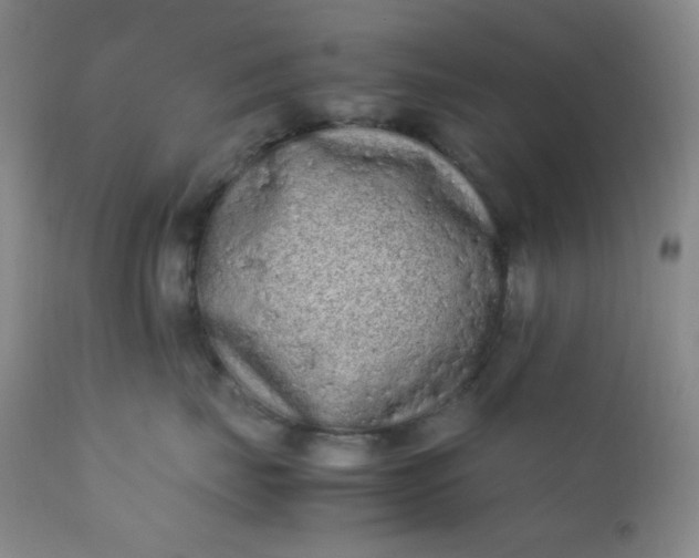 X0000112210671200908211519