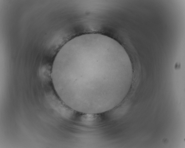 X0000112210672200908211519