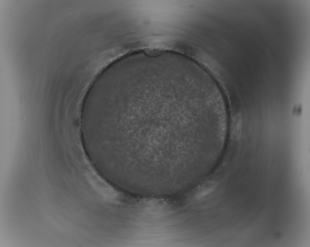 X0000112210673200908211519