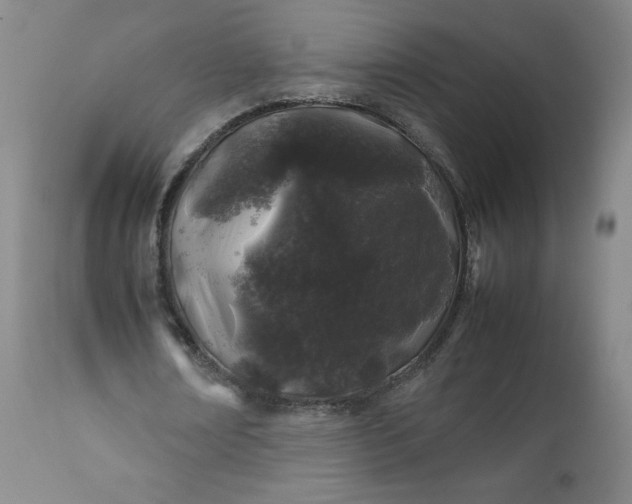 X0000112210674200908211519