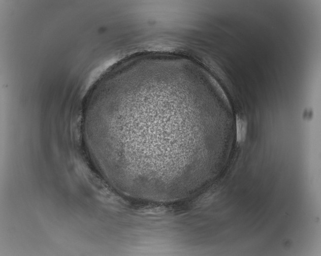 X0000112210675200908211519