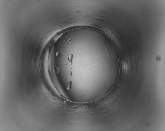 X0000112210676200908211519