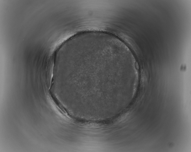 X0000112210677200908211519