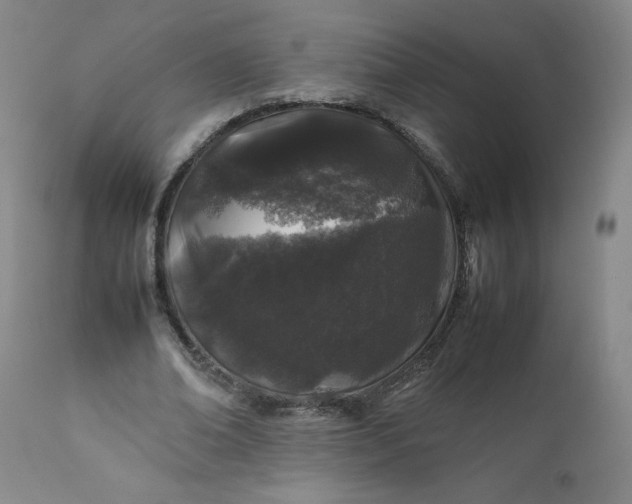 X0000112210678200908211519