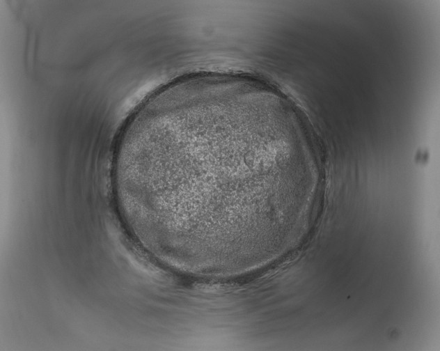 X0000112210679200908211519