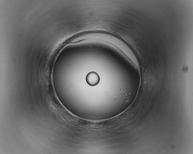 X0000112210680200908211519