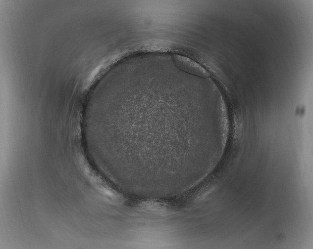 X0000112210681200908211519