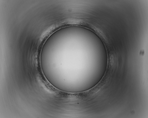 X0000112210682200908211519