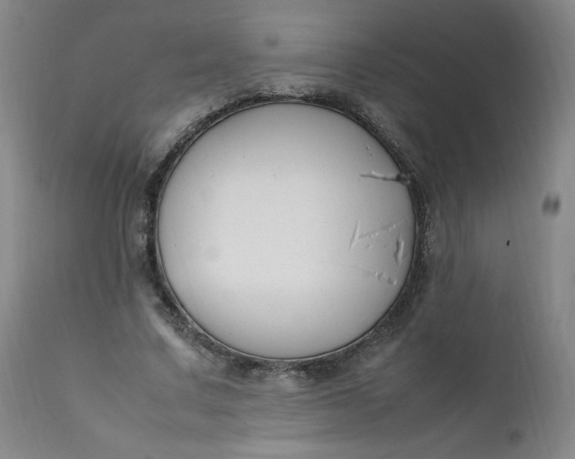 X0000112210683200908211519