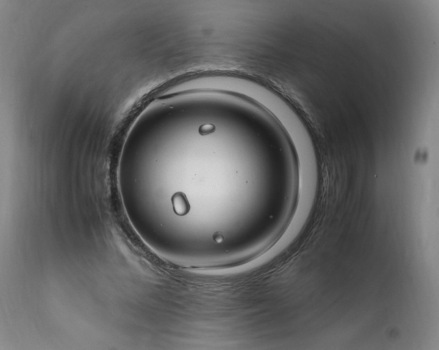 X0000112210684200908211519