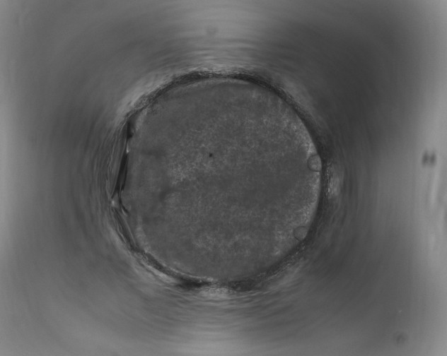 X0000112210685200908211519