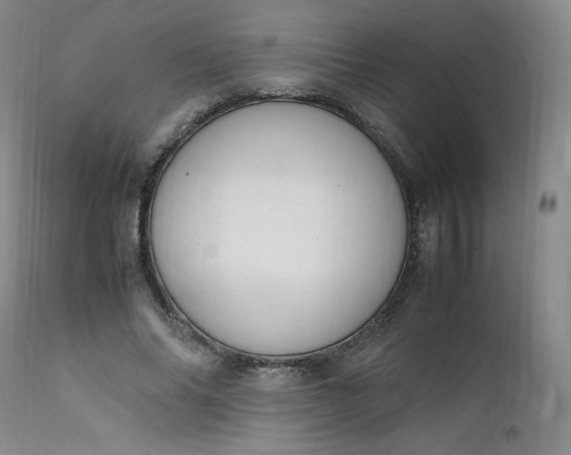 X0000112210686200908211519