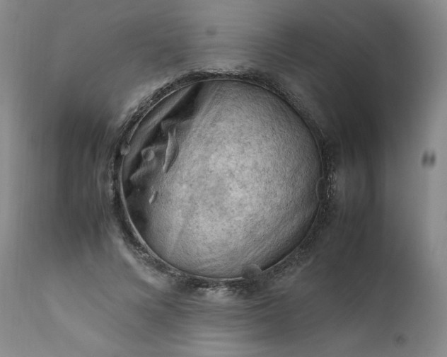 X0000112210688200908211519