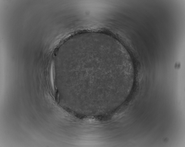 X0000112210689200908211519