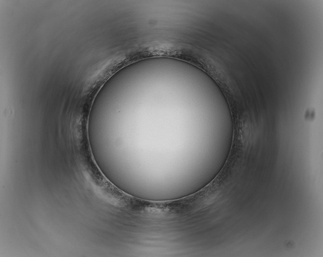 X0000112210690200908211519