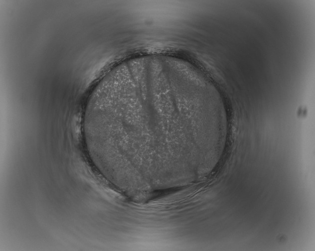 X0000112210691200908211519