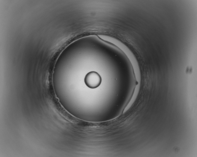 X0000112210692200908211519