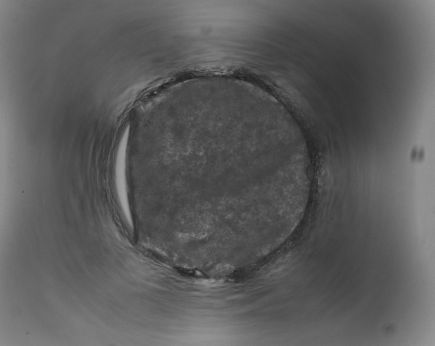 X0000112210693200908211519