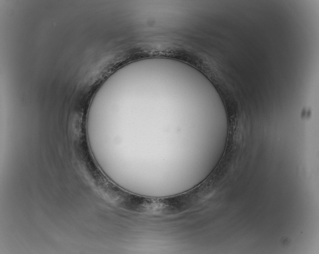 X0000112210695200908211519