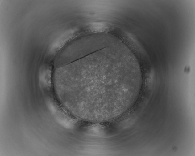 X0000112210696200908211519