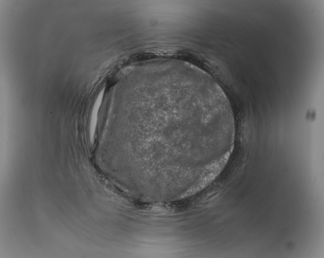 X0000112210697200908211518