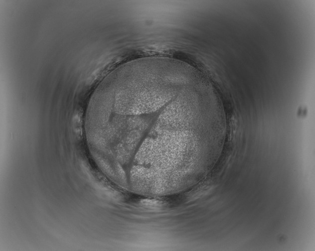 X0000112210699200908211518