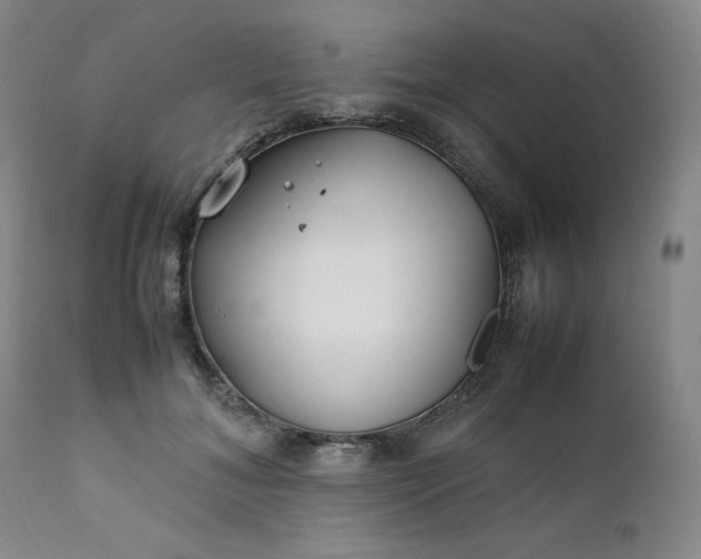 X0000112210700200908211518